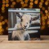 Greetings Cards (Individual): Various Styles - Image 2