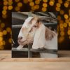 Greetings Cards (Individual): Various Styles - Image 7