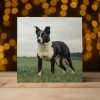 Greetings Cards (Individual): Various Styles - Image 6