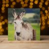 Greetings Cards (Individual): Various Styles - Image 5