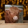 Greetings Cards (Individual): Various Styles - Image 9