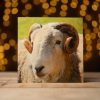 Greetings Cards (Individual): Various Styles - Image 11