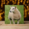 Greetings Cards (Individual): Various Styles - Image 13