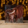 Greetings Cards (Individual): Various Styles - Image 23
