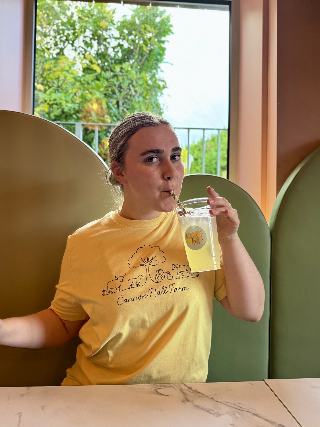 Cannon Hall Farm Linework Tee - Image 3